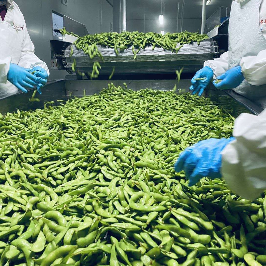 Quick-Frozen Green Edamame Beans, Ready for Export, Available from Manufacturers, Frozen Fresh Edamame for Hotels and Fast Food