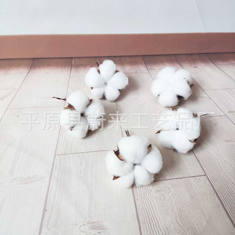 Five-petal cotton head full cotton bouquet DIY material home decoration photo props floral furnishings