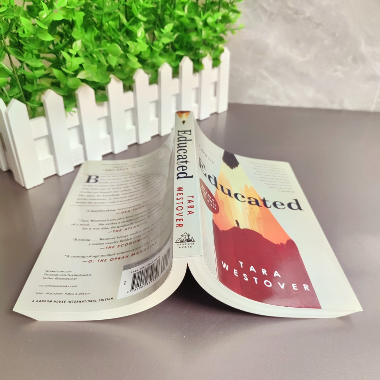 Educated A Memoir Education Changes Your Life When You Fly Like a Bird to Your Mountain