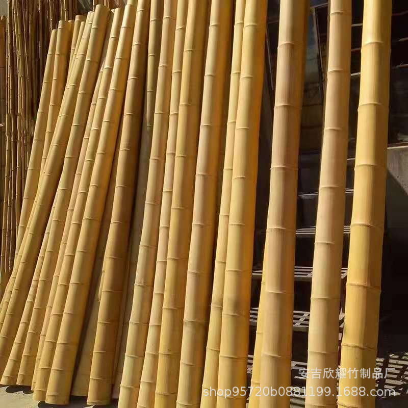 Decorative Decoration Anti-Corrosion Bamboo Bamboo Bamboo Pole Ceiling Partition Wall Fence Frame Bamboo Pole Flag Pole White Bamboo Yellow Bamboo