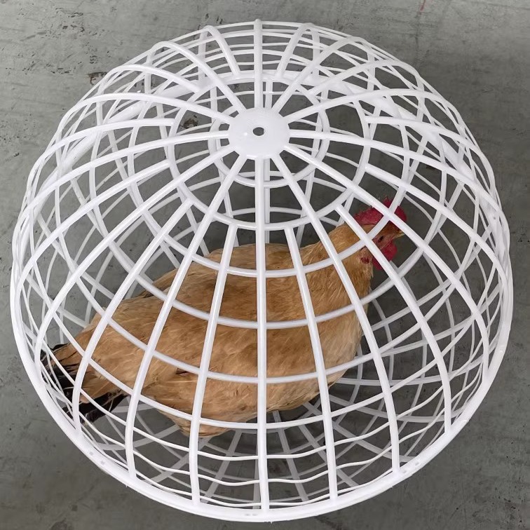 Cross-Border Rollable Round Cage Ball Type Internet Celebrity Walking Chicken Ball Type Chicken Cage Rabbit Cage Small Animal Protective Cage