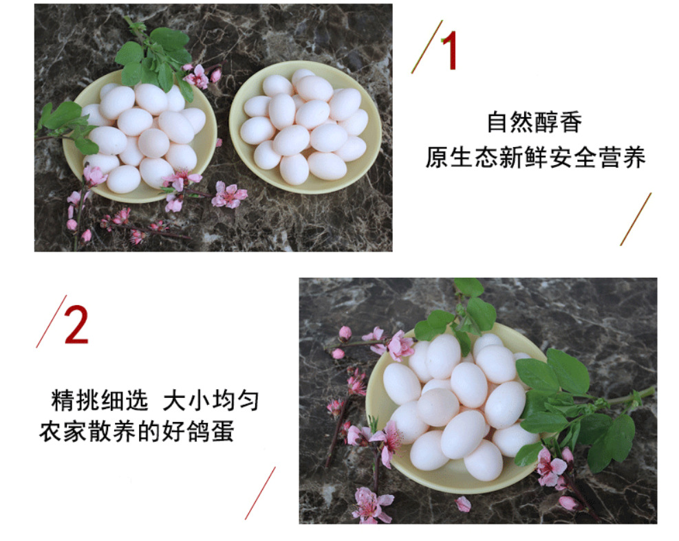 Free Shipping Wholesale Selection of 30 Sf White Pigeon Eggs, Free Shipping, Fresh Local Specialty Farm Grains, Free-Range Baby
