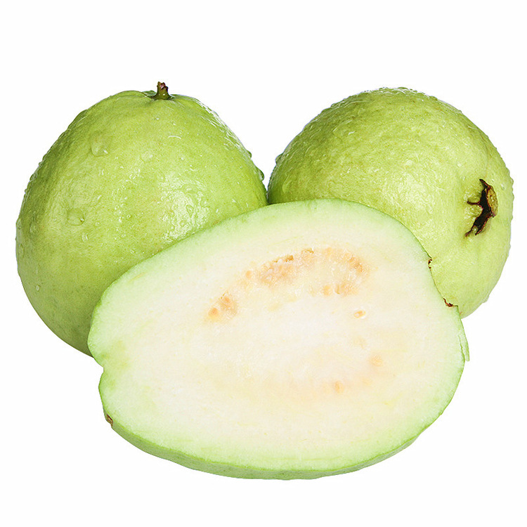 Свежая белоплодная гуава из Фуцзянь, сезонный фрукт, белоплодная гуава, доставка одной штуки