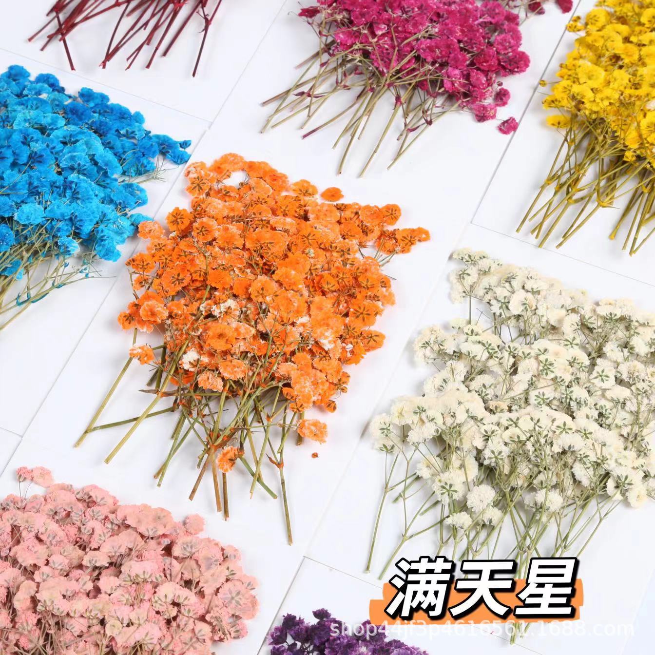 Гипсофила высушенная цветочная композиция для рукоделия, материал для изготовления сладостей, закладок и открыток