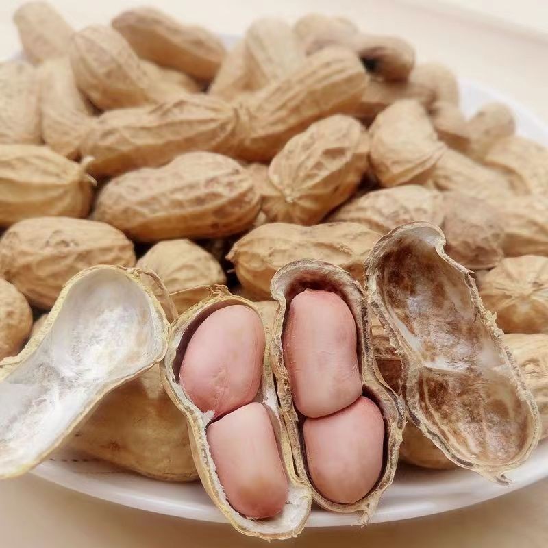 Новые товары сезона свежий арахис в скорлупе сушеные цветы крупного арахисового фермерского хозяйства самопосев сушеный оптом доставка поштучно