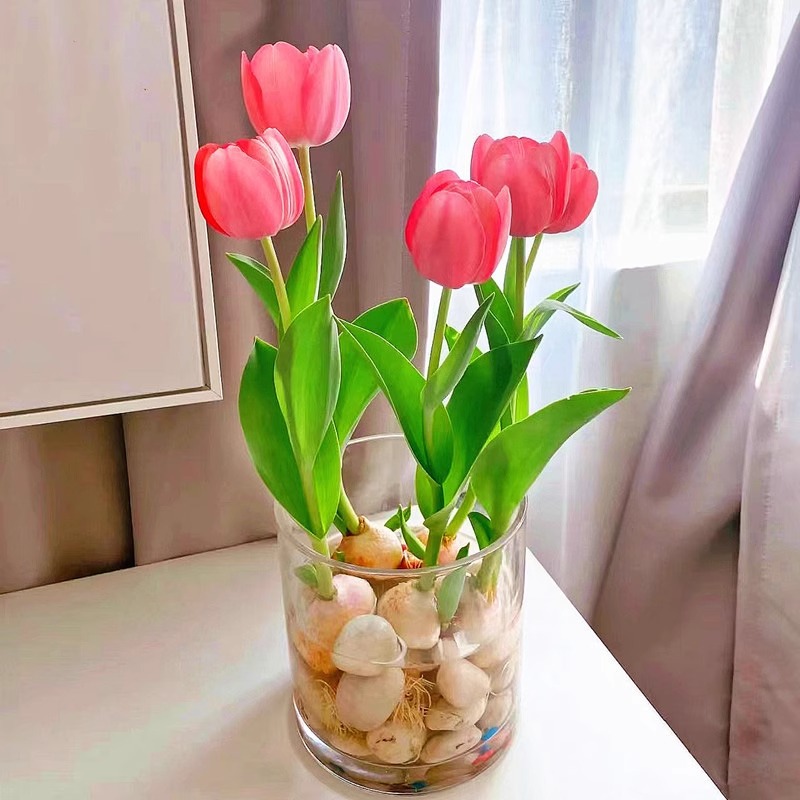 Tulip Bulb Seeds Soil Culture Hydroponic Package Winter Indoor Cold-Resistant Water Culture Potted Bulb Flower Hyacinth