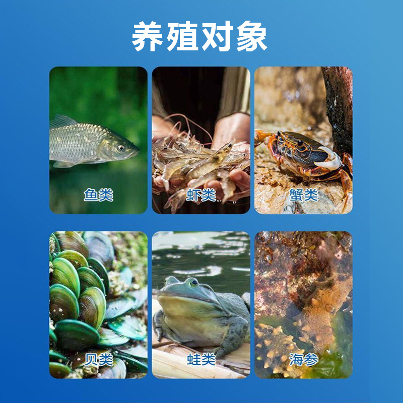 Ten Acres of Nutrient-Rich Water Peptide Mixed Amino Acid Suitable for Large Water Bodies to Cultivate Rotifers, Plankton, and Algae Feed Grade