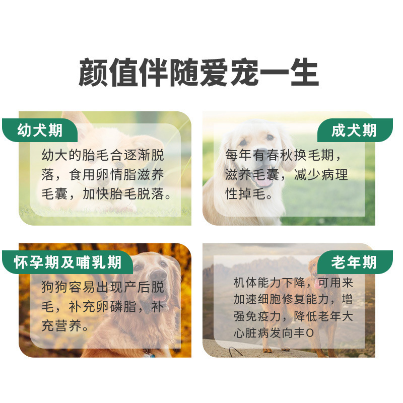 Bioline Pet Lecithin Spot Wholesale Soft Lecithin for Cats and Dogs Cross-Border Direct Supply