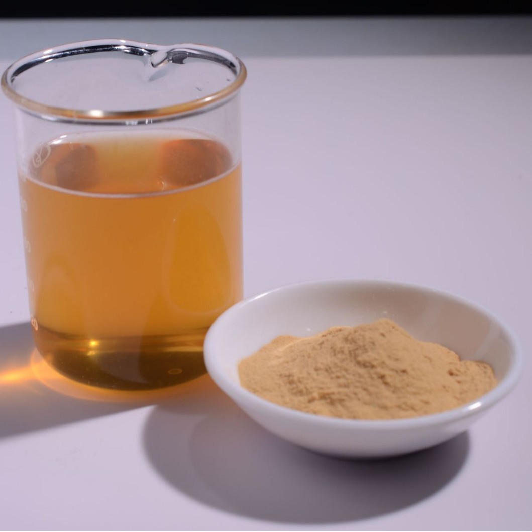 Ofk Brand Imported Wolfberry Powder Concentrated Instant Solid Beverage Snack Formula Processing Special Fruit Powder Fruit Powder