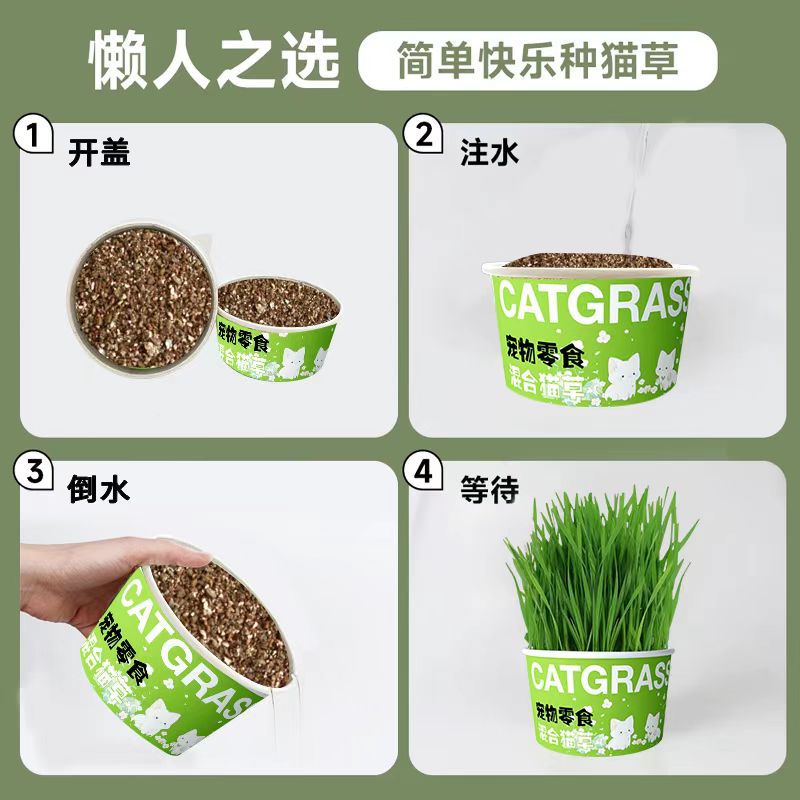 Lazy Instant Noodles Cat Grass Cat Grass Hydroponic Cup Fur Grass Cat Grass Wholesale Cat Grass Pot Lazy Person Planting Cat Grass Cup Potted Plant