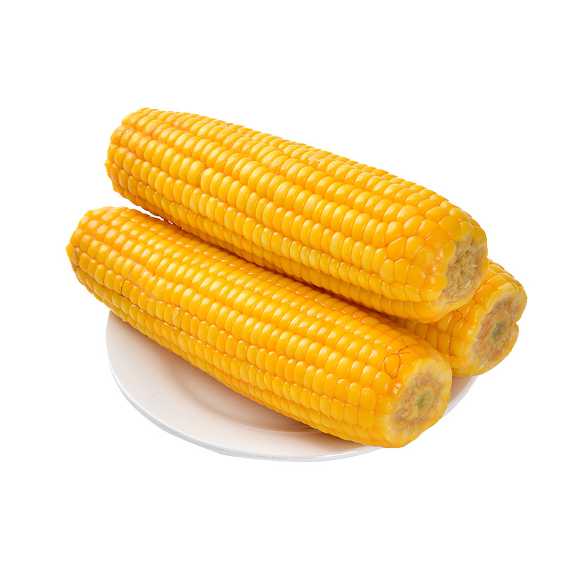 Northeast corn cob Jilin waxy corn independent vacuum packaging yellow corn a generation of wholesale