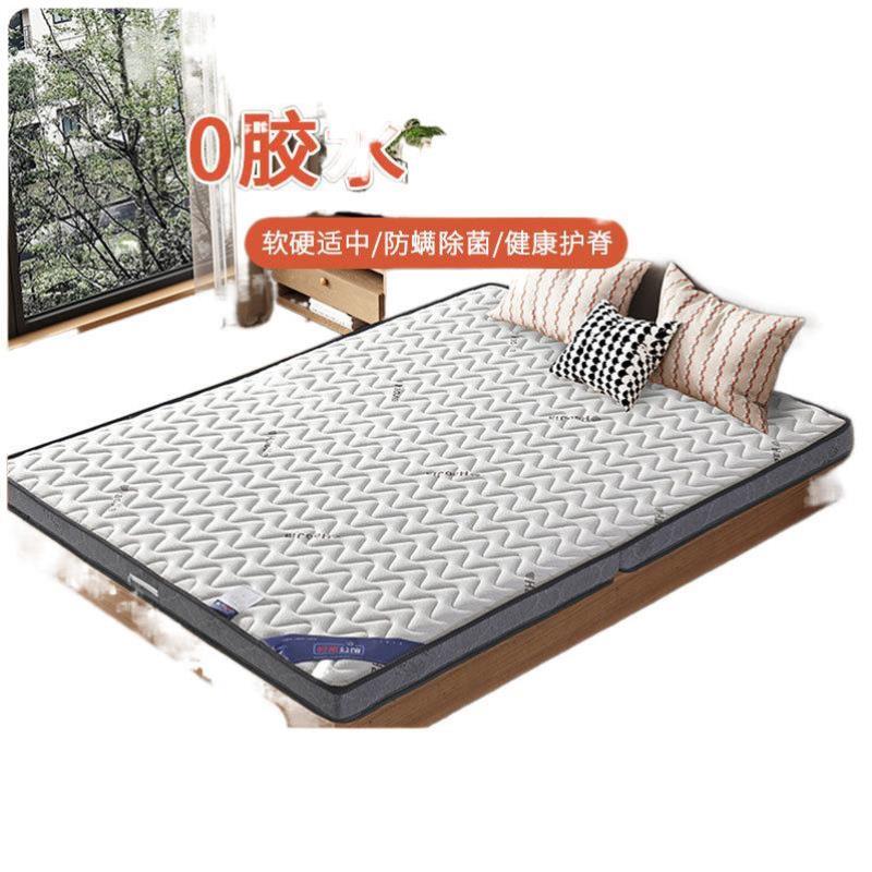 Natural Coconut Palm Mattress Children's Spine Protection Palm Hard Mattress Economical Rental House Tatami Foldable Mattress