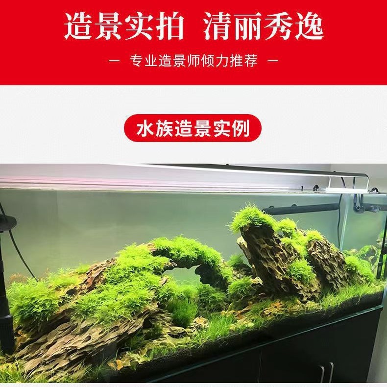 Turquoise stone fish tank landscaping rockery water tank turquoise stone aquarium landscaping large porous turquoise stone