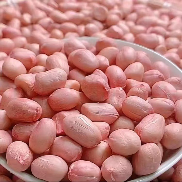 Большое количество оптовых белых песчаных арахисов, фермерские самопроизводимые арахисы, крупы, оптовая продажа