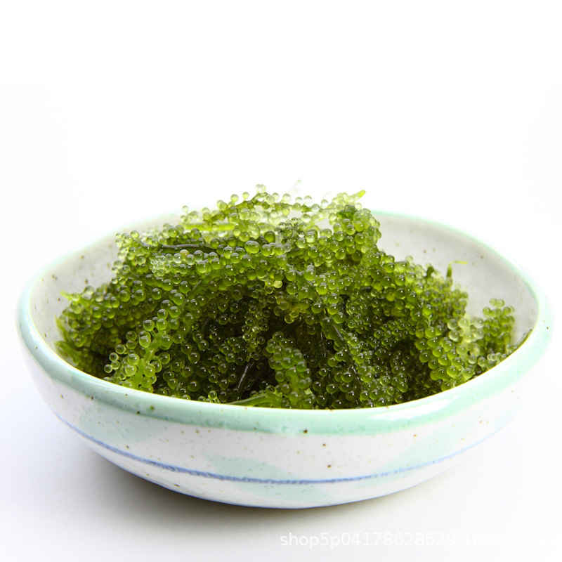 [Factory Direct] Salted Sea Grapes Classic Packaging 100g No Brand Information One Click Dropshipping