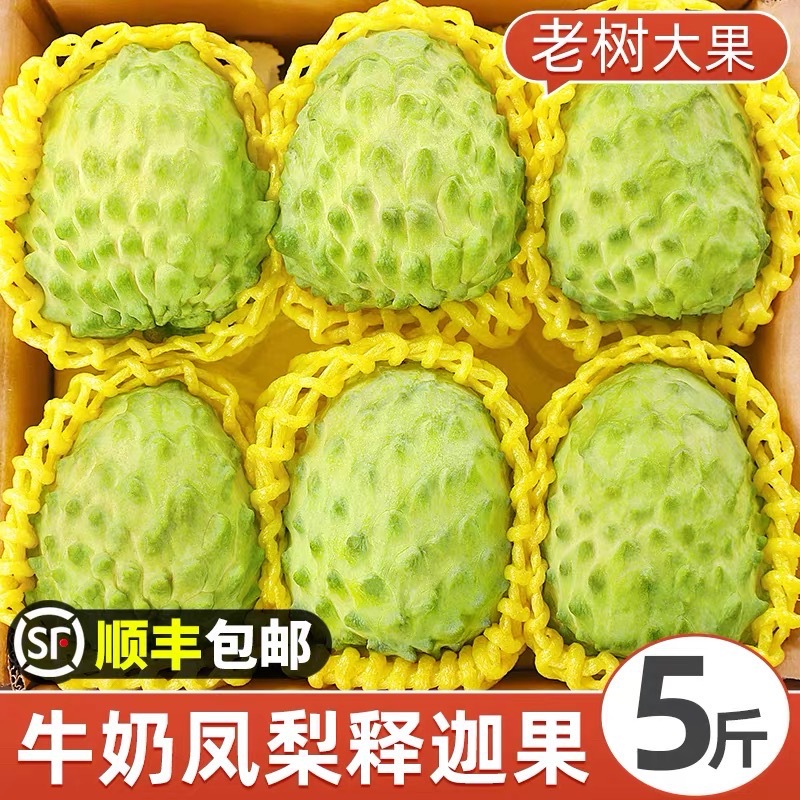 Молочный ананас, фрукт сагу, большой свежий фрукт, гравилат, фрукт будды, бархатный фрукт, редкие и ценные фрукты, бесплатная доставка с Sf Express