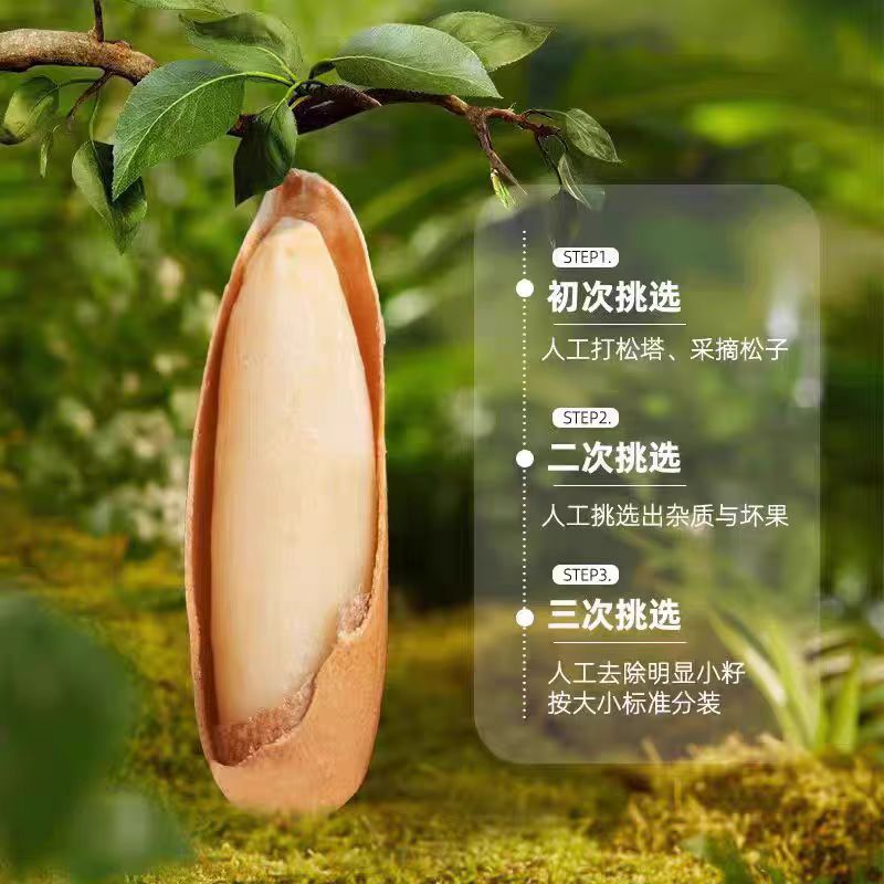 A generation of hand-peeled Brazilian pine nuts 500g snack nuts specialty fried annual goods wholesale Afghan pine nuts