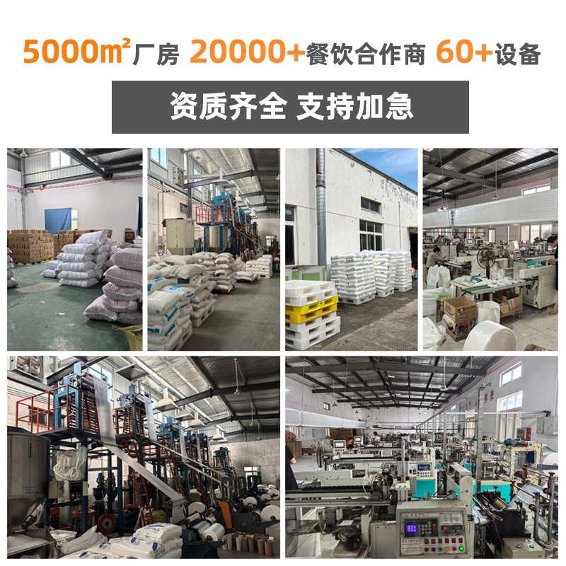 Disposable Gloves Customized with Individual Packaging for Catering and Takeaway, Plastic Gloves Customized in Boxes and Bags with Logo Printing