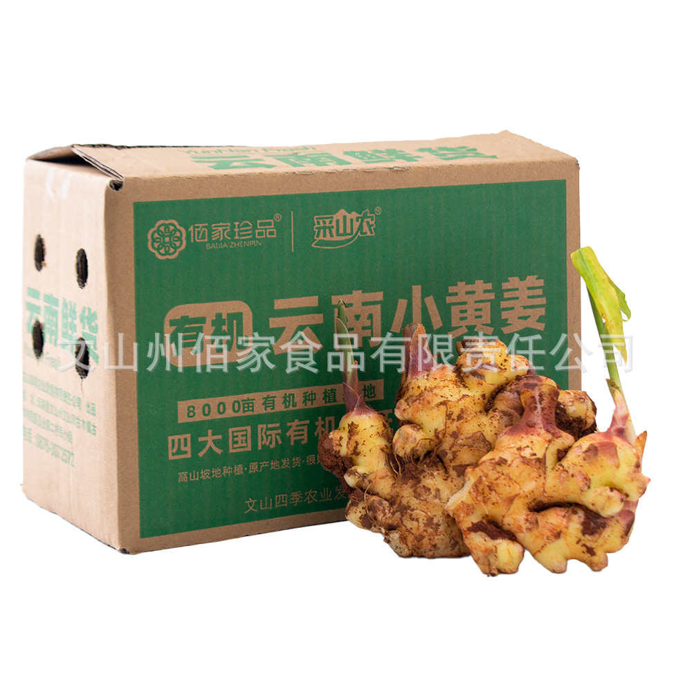 Organic Fresh Ginger with Mud 500G/Box Yunnan Organic Fresh Turmeric Supports Drop Shipping and Direct Sales from the Origin