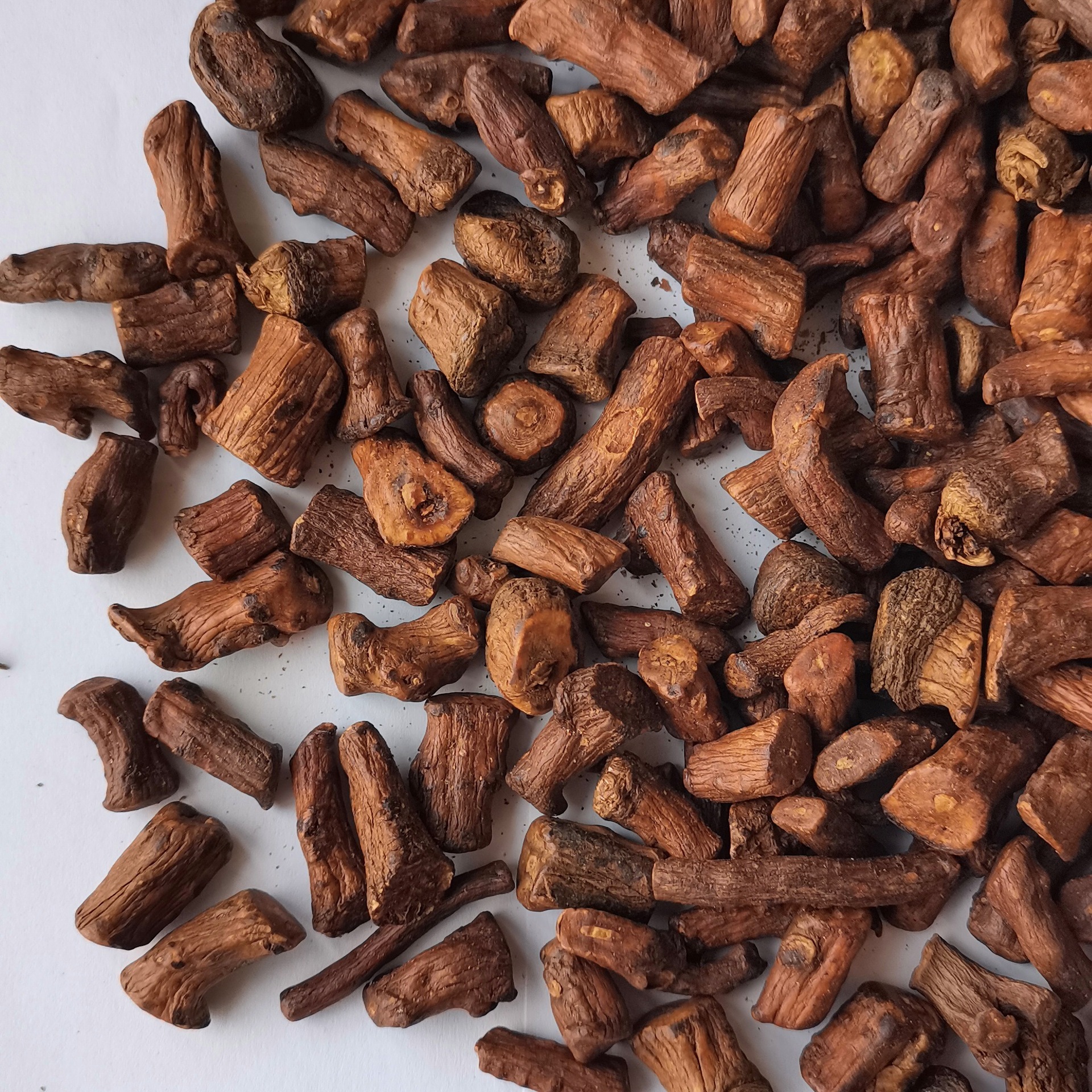 Dandelion root tea new wholesale Changbai mountain mother-in-law tea dandelion root tea fragrant bubble-resistant