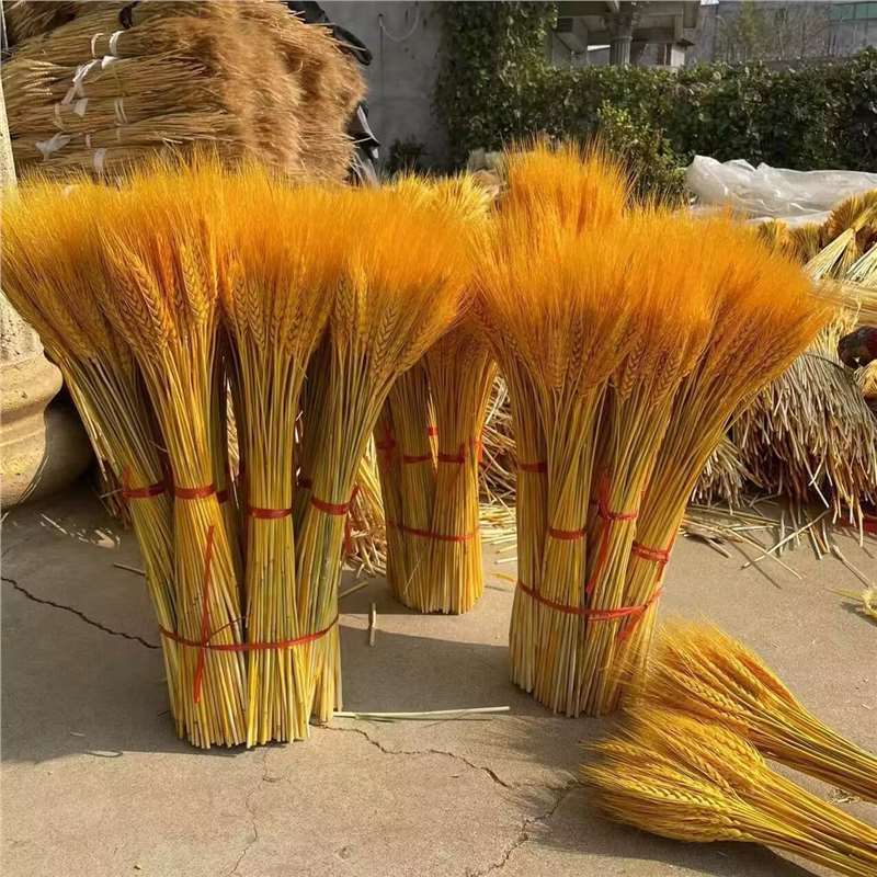 Factory direct opening barley flower basket natural gold wheat ear dried flower bouquet living room pastoral decoration ornaments