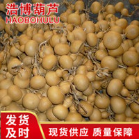 Liaocheng planting base wholesale small gourd hand twist gourd gourd text play craft small gourd