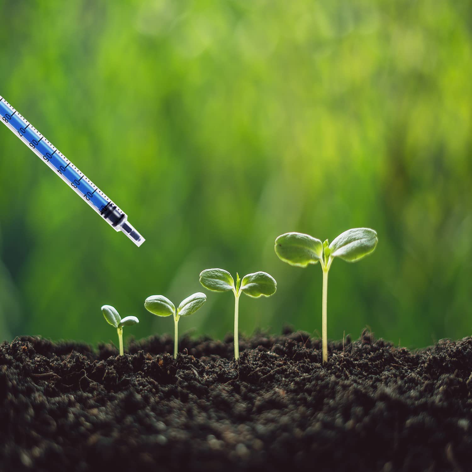 Cross-border in stock disposable veterinary syringe small size straight plastic needle tube industrial rubber stopper syringe with needle