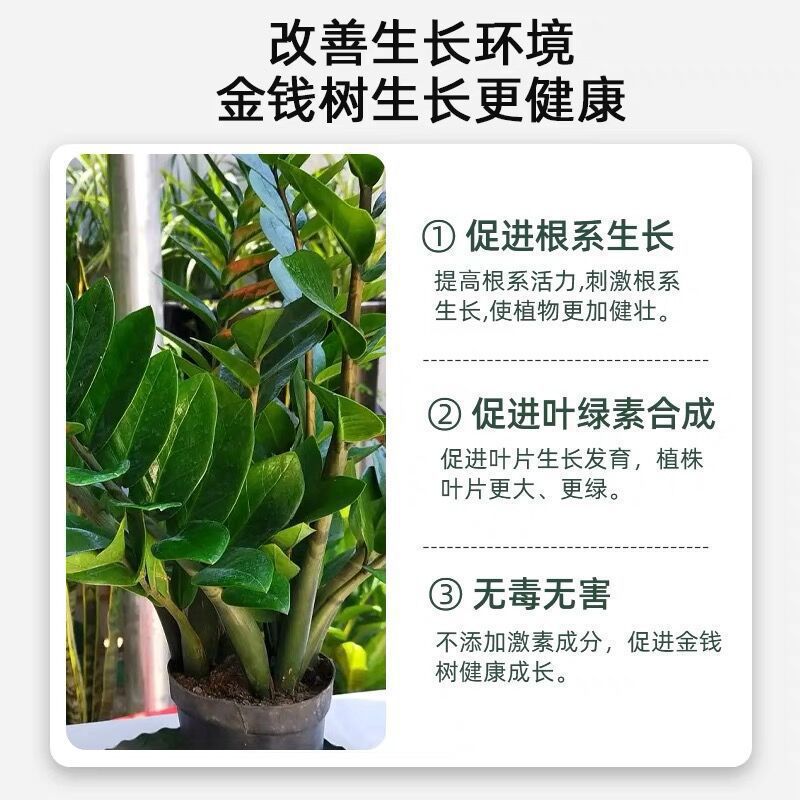 [Promox New Bud] Money Tree Nutrient Solution, Germination and Anti-Yellow Leaf Rotten Root Liquid Fertilizer, Dilution-Free Special Fertilizer Manufacturer