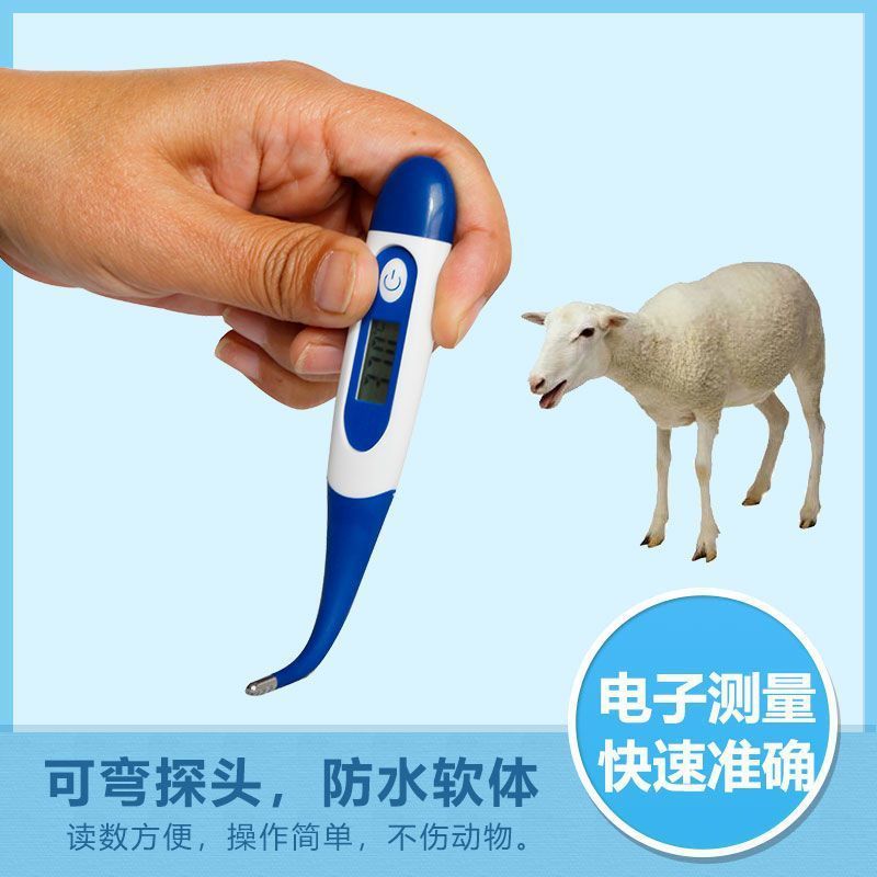 Electronic Thermometer for Household Pets, Dogs and Cats Thermometer, Hospital-Specific Veterinary Thermometer