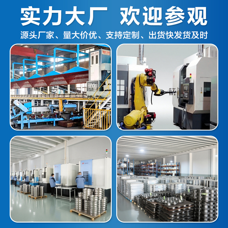 Auto Parts Brake Disc Manufacturer Wholesale Suitable for Tiguan Ford Front and Rear Brake Discs Car Modified Brake Discs