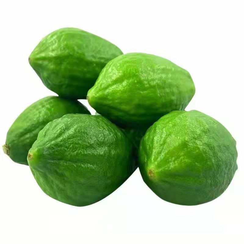 Лимон без косточек Гуандун тропический свежий фрукт первого сорта оптом для молочных чайных магазинов