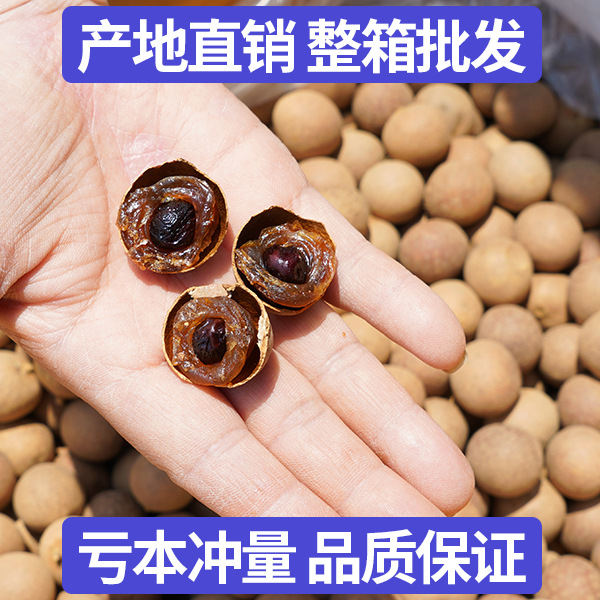 New 14A dried longan 500g a generation of longan nuclear small meat thick dried longan Putian specialty longan wholesale