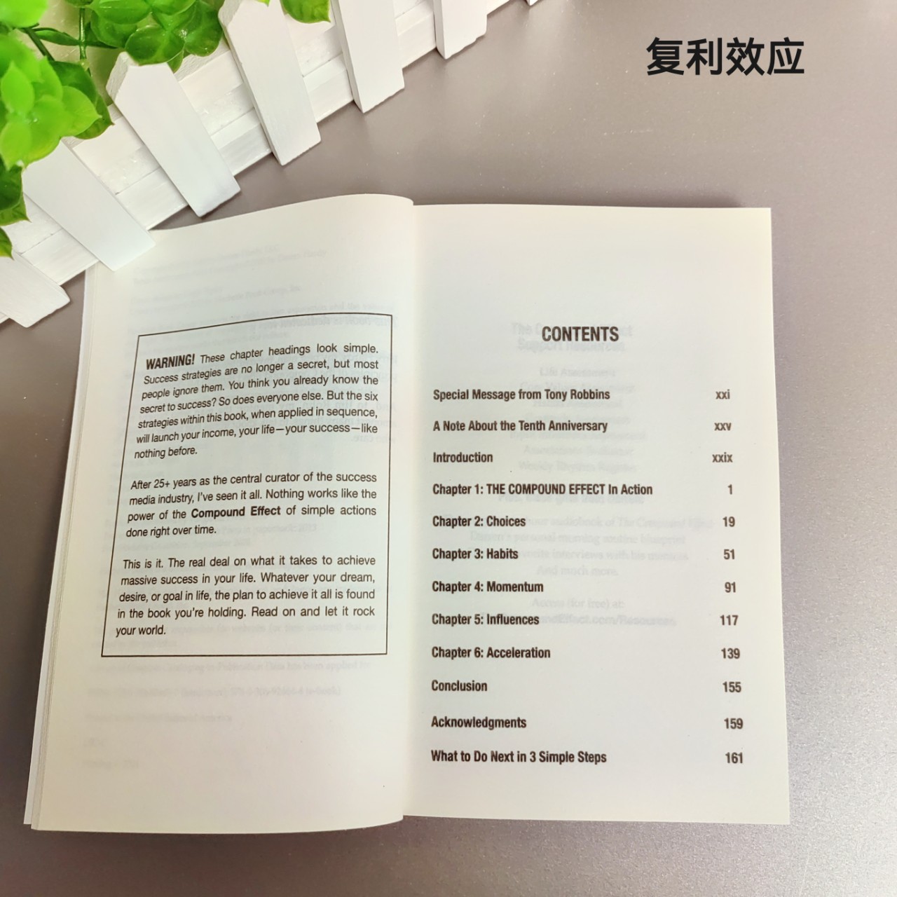 The Compound Effect English Version the Compound Effect How to Get the Truth to Success