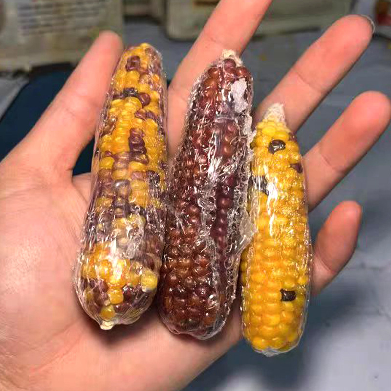 24-Year-Old Seasonal Mini Corn Medium-Sized Hamster Golden Bear Rabbit Molar Stick Chinchilla Molar Snack Healthy Molar Chew