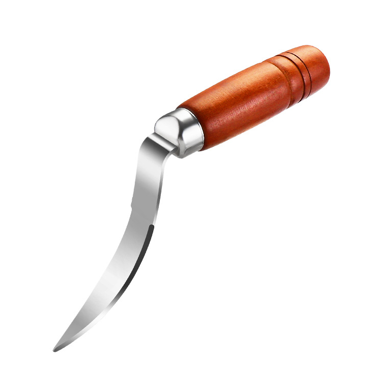 Factory Direct Supply Stainless Steel Coconut Meat Scooper Curved Blade Coconut Meat Separator with Pointed Wooden Handle Coconut Tool