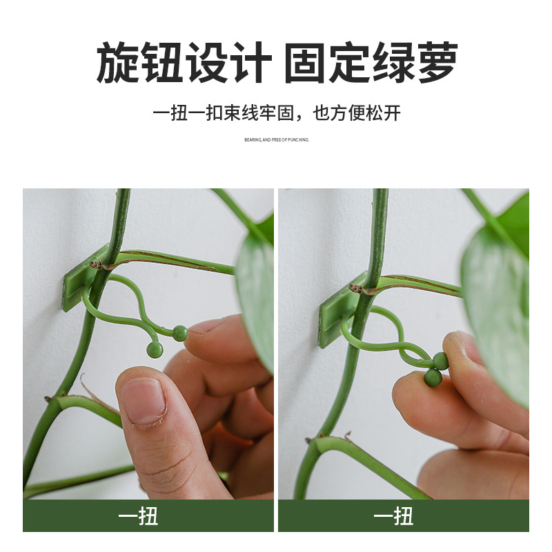 Vine Green Plant Household Traceless Pothos Holder Nail-Free Climbing Wall Beautiful Storage Self-Adhesive Hook Cable Management