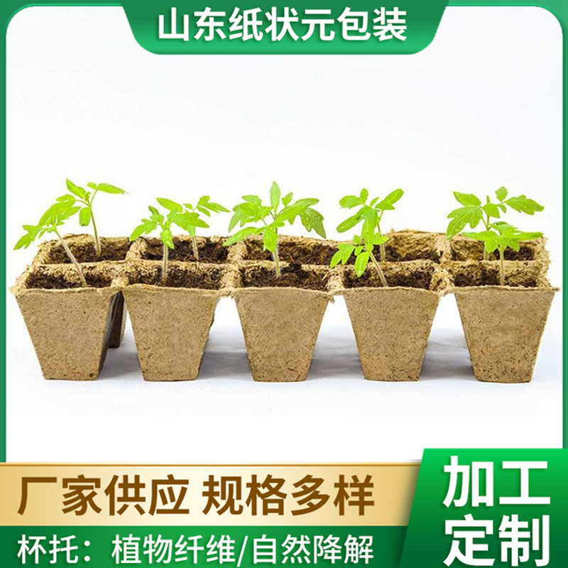 Disposable Paper Pulp Seedling Cups with 10 Compartments and 12 Compartments, Gardening Flower Nutrition Bowls, Paper Cups, Seedling Cups, Biodegradable