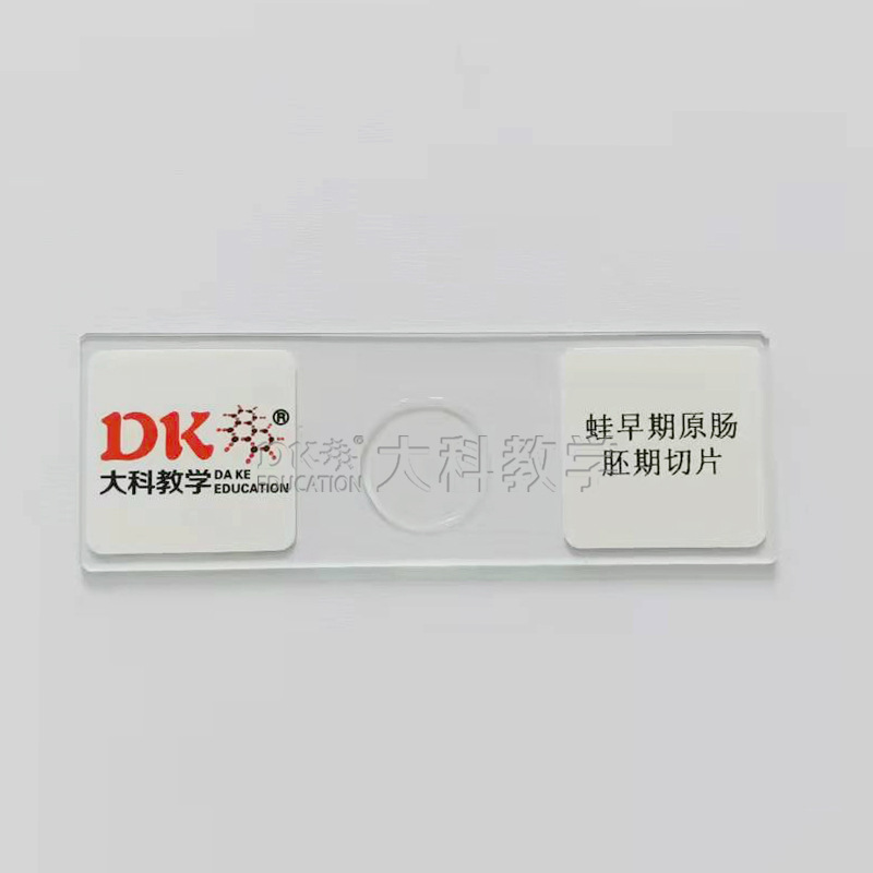 Daye Teaching Frog Original Intestinal Slicing Biological Slide Specimen Primary and Secondary Schools Special Microscope