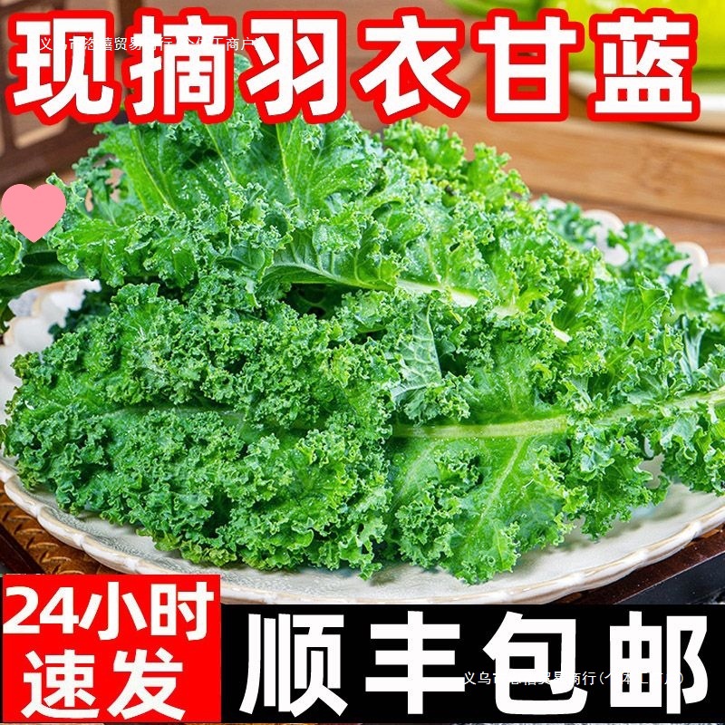 Fresh Kale Vegetables for Consumption, Sf Express Free Shipping, Juicing, Roasted Slices, Fitness Light Meal, Western Salad, Vegetable Sprouts