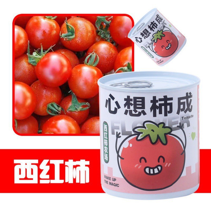 Can Desktop Small Potted Plant Blind Box Kidsren's Green Plant Seeds Primary School Students Award Variety Plant Planting Box