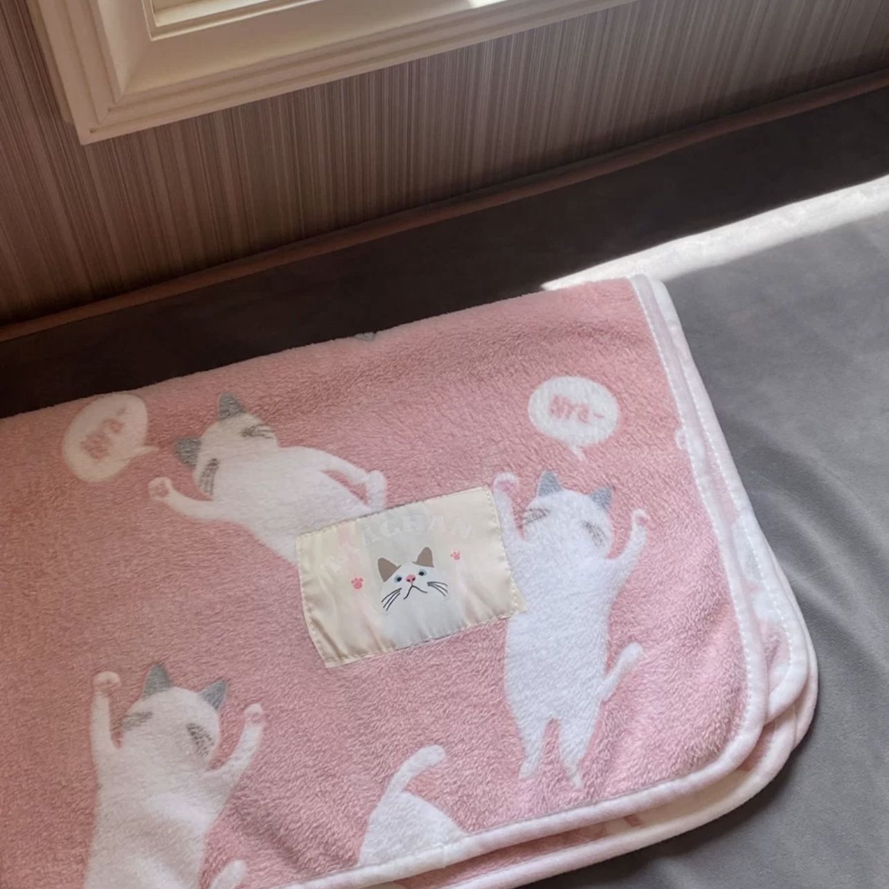 Spring and Summer Kidsren's Cute Cat Coral Velvet Blanket Office Nap Blanket Cover Blanket Single Dormitory Cover Sofa Blanket