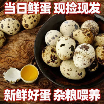 Fresh 50 Quail Eggs from Free-Range Farm Birds, Suitable for Hot Pot and Supplementary Food, Freshly Picked and Shipped from Rural Areas