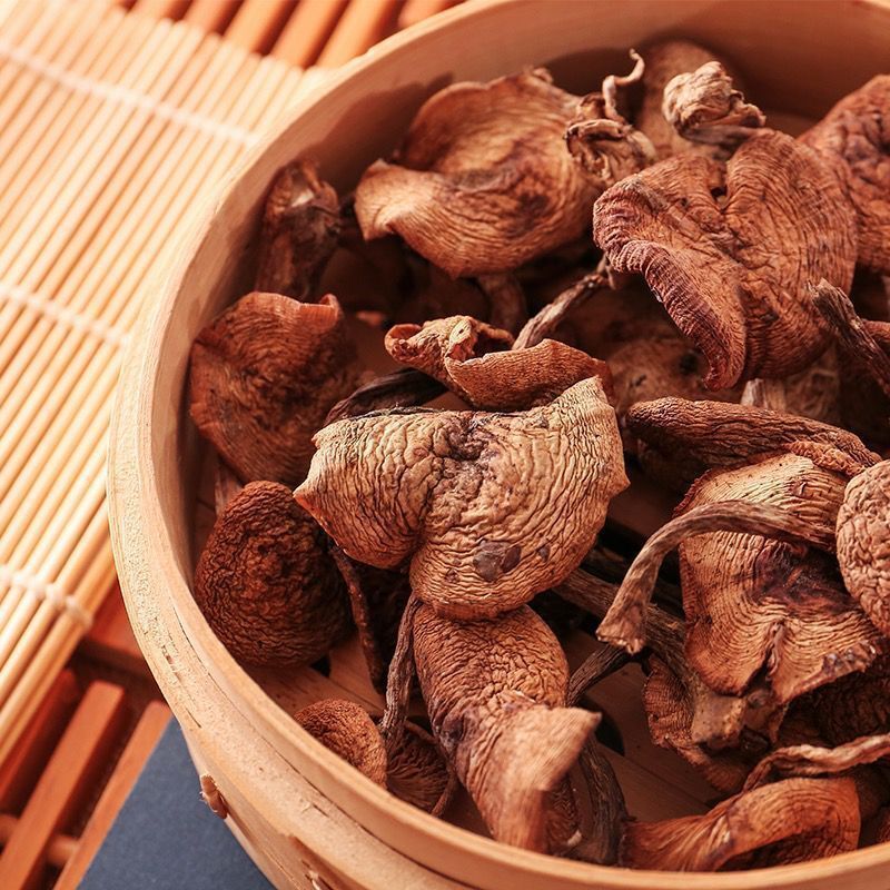 Northeast Wild Hazelnut Mushroom Dry Goods Chicken Stewed Mushrooms Wholesale Changbai Mountain Local Specialty Real Mushrooms Rootless Net Weight Delivery
