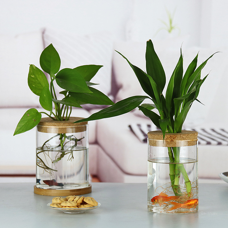 Ins Popular Creative Log Vase Transparent Glass Living Room Flower Arrangement Ornaments Hydroponic Pothos Desktop Ecological Fish Tank