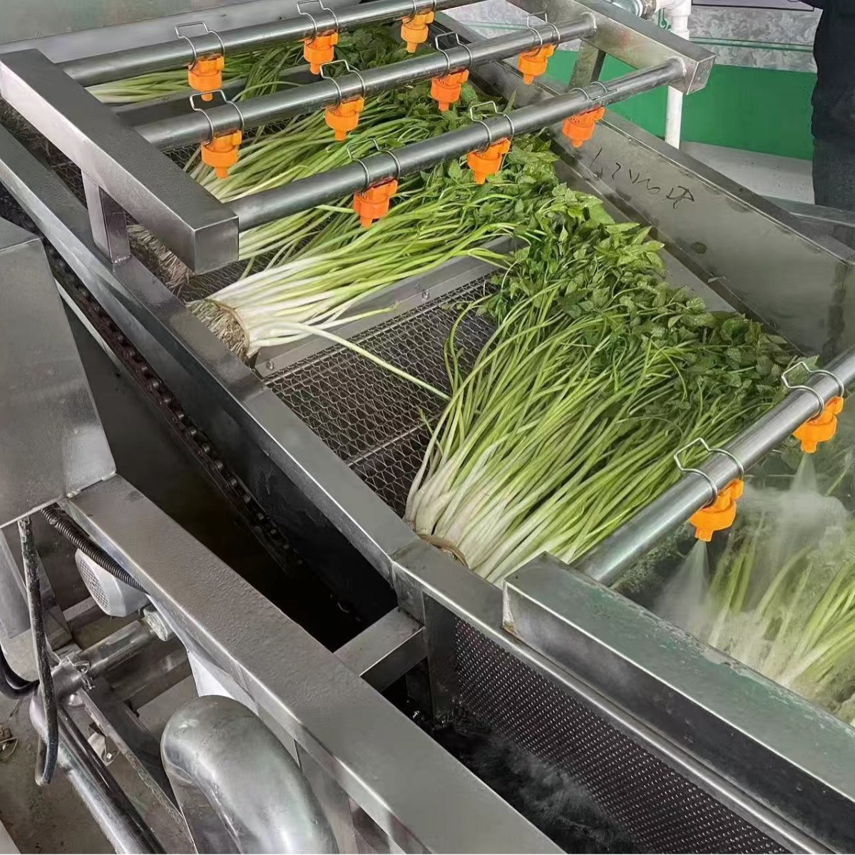 Water Celery Supermarket Vegetable Wholesale Water Celery Gift Box Agent Distribution Wholesale Fresh Vegetables Water Celery