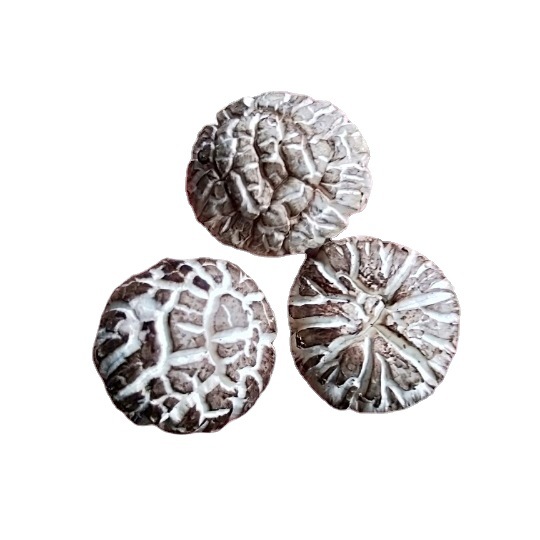 New goods cut foot mushroom origin supply sufficient local specialty dry goods mushroom spring planting mushroom