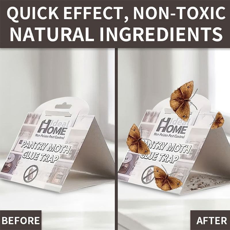 Amazon Moth Trap Moth Trap Moth Killing Moth Indian Valley Moth Rice Surface Moth Cross-border Supply of One Piece