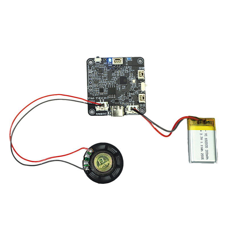 Spot Xiaozhi Voice Assistant Interactive Robot Development Board Kit Learning Module