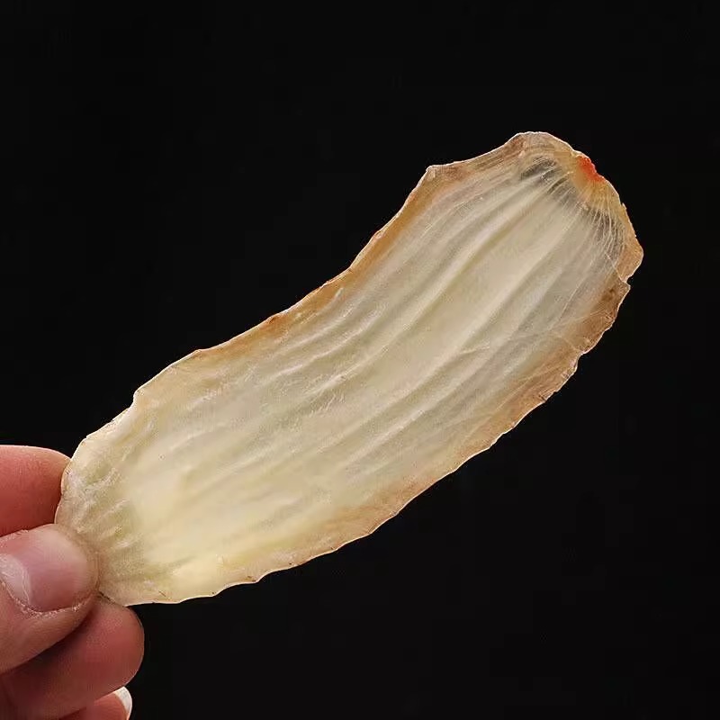 Gastrodia Elata Slices from Yunnan Zhaotong, Genuine Fresh-Cut Dried Gastrodia Elata Slices, Can Be Ground into Gastrodia Elata Powder Slices, 500g Chinese Herbal Medicine