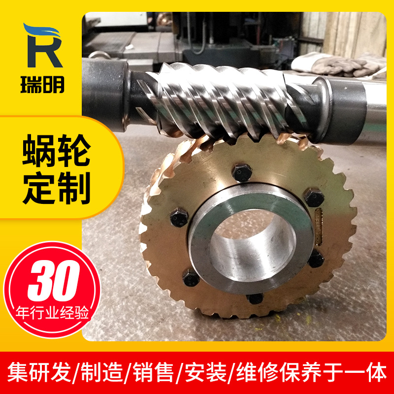 Ruiming reducer manufacturer produces precision double lead worm pair CNC lathe worm gear worm
